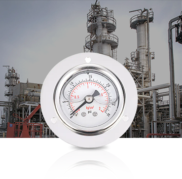 Industrie pétrochimique Pressure Gauges